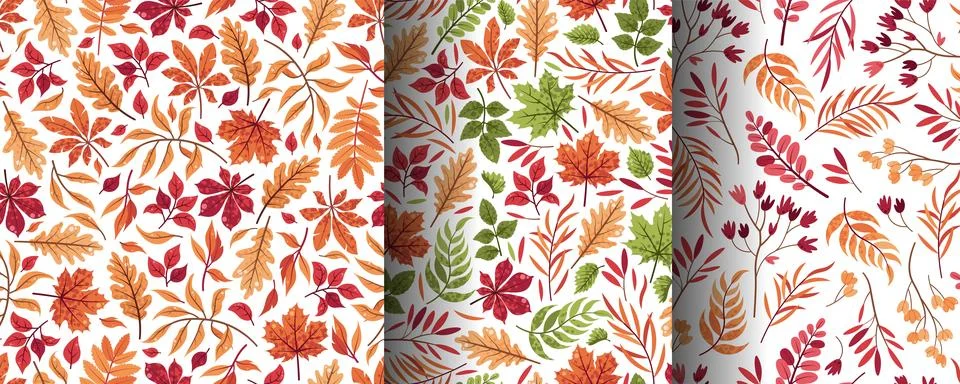Set of Seamless Patterns with Various Autumn Leaves. Background wth Oak, Ma.. Illustrazione stock