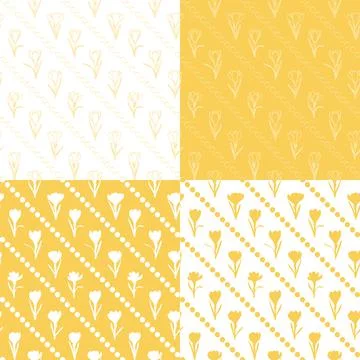 Set of seamless patterns with yellow crocus flowers, saffron. Stock Illustration