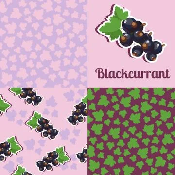 Set seamless texture with blackcurrant Stock Illustration