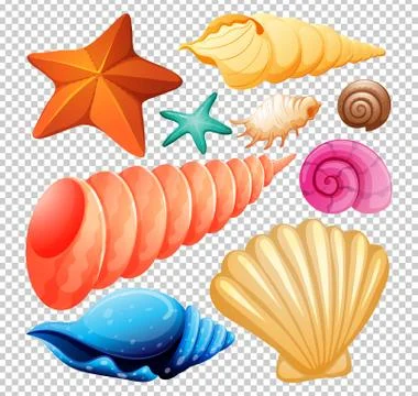 A Set of Seashell for Beach Stock Illustration