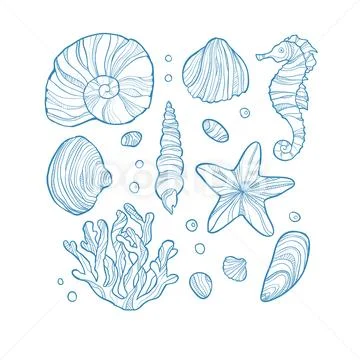 Set seashell, coral, seahorse, starfish and rocks isolated on white background Stock Illustration