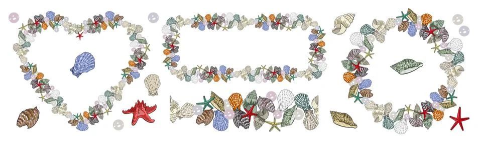 A set of seashell elements. Different kinds of frames and seamless edging Stock Illustration