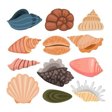 Set of Seashell or Sea Shell Isolated Element Objects. Beach Aquatic Marine.. Stock Illustration