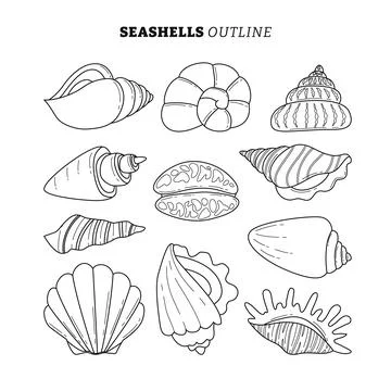 Set of Seashell or Sea Shell outline collection with line art style, Beach .. Stock Illustration
