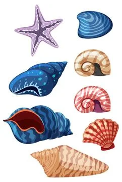 Set of seashell simple cartoon Stock Illustration
