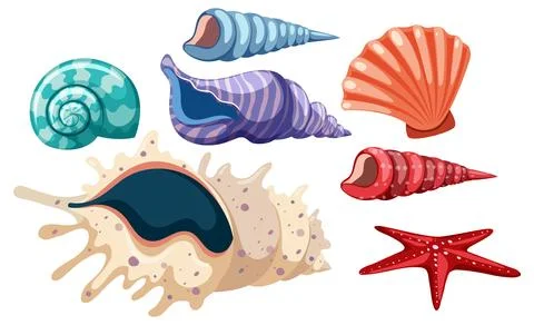 Set of seashell simple cartoon Stock Illustration