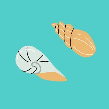 Set of seashells on blue background. Flat cartoon illustration. 스톡 일러스트
