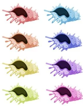 Set of seashells in different colors 스톡 일러스트