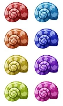 Set of seashells in different colors 스톡 일러스트