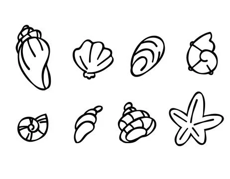 Set of seashells in doodle style, black outline sketch isolated elements on.. Stock Illustration