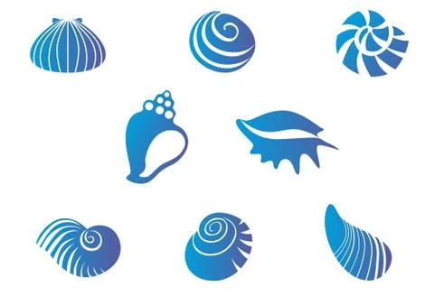 Set of seashells Stock Illustration
