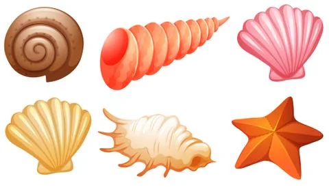 Set of seashells 스톡 일러스트