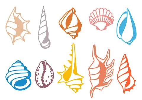Set of seashells. 스톡 일러스트