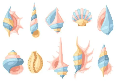 Set of seashells. 스톡 일러스트