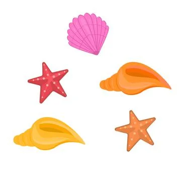 Set of seashells isolated on white background. Vector illustration Stock Illustration