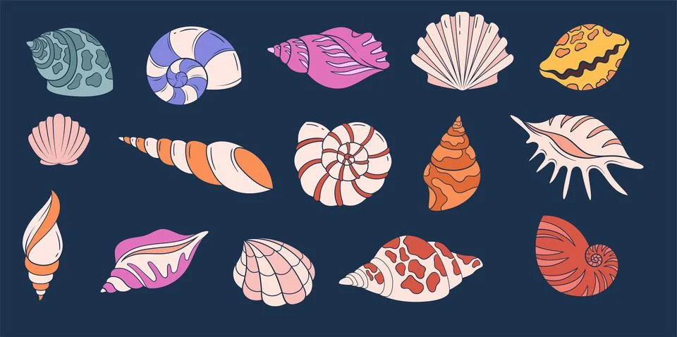 Set of seashells vector Stock Illustration