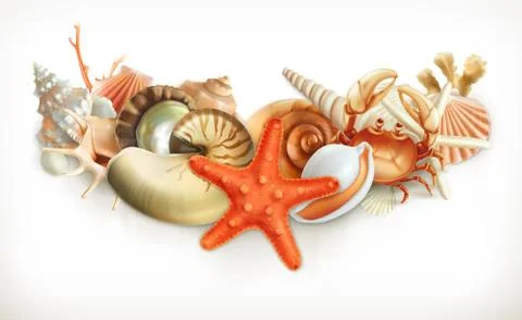 Set of seashells, vector illustration Stock Illustration