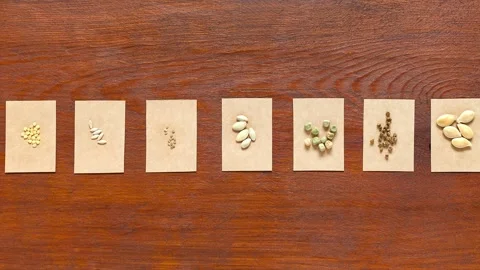 Set of seeds of different vegetables before sowing on wooden background Stock Footage 306763386