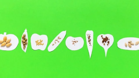 Set of seeds on paper vegetable shaped labels on green background Stock Footage 306763387