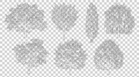 Set of seven architectural tree elevation view sketches isolated Stock Illustration