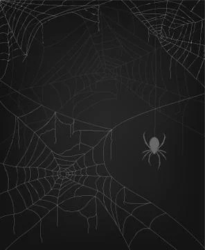 A set of several spider webs on a dark background. Great selection for Hallow Illustrazione stock