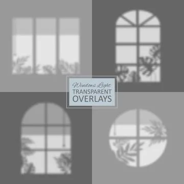 Set of Shadow and light overlay effect of various window frames and plant leaves Stock Illustration