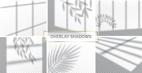 Set of shadows, overlay effects mock up, window frame and leaf of plants Stock-Illustration
