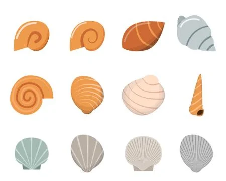 Set of shell in flat style, top view Stock Illustration