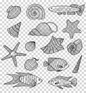 Set of shells and fishes Stock Illustration