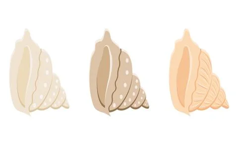 A set of shells of different colors. White background. 库存插图