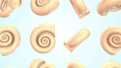 Set of Shells Falling on a Light Blue Background. Snail Shells 3D Animation. 4K Stock Footage 295117548