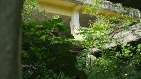 A set of shots inside the ruins of a building Stock Footage 314632133