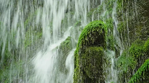 A set of shots of a waterfall in the forest Stock Footage 314634313