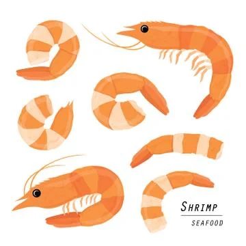 Set of shrimps isolated Cartoon Vector. Stock Illustration