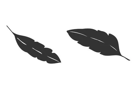 Set of a silhouette of a bird feather isolated Stock Illustration