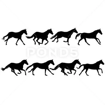 Set silhouette of black mustang horse on white background Stock Illustration