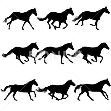 Set silhouette of black mustang horse on white background Stock Illustration