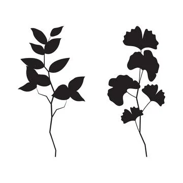 Set of silhouette branches with leaf in modern style. Vector leaves isolate.. Stock Illustration