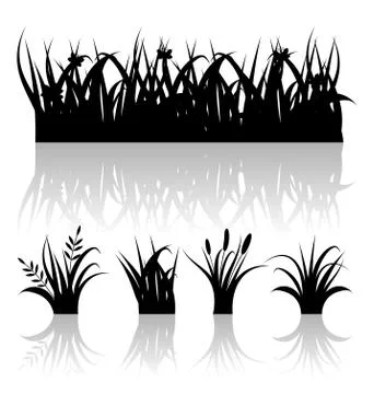 Set silhouette of grass with reflection isolated on white background Stock Illustration