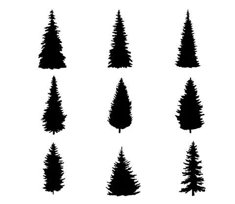 Set of Silhouette of pine tree. Shape of Christmas tree isolated on white Stock Illustration