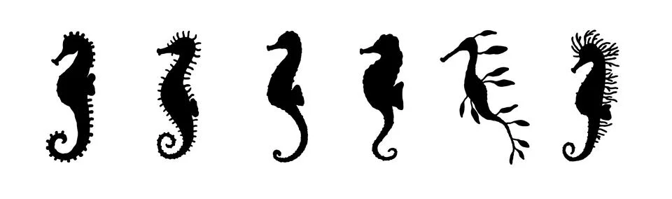 Set silhouette seahorses different forms. Vector icons wild ocean animals Stock Illustration