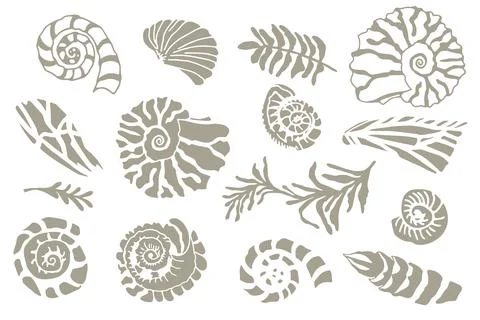 Set of silhouette stencil seashells and plants Hand drawn Stock Illustration