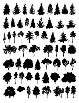 Set silhouette tree Illustrazione stock