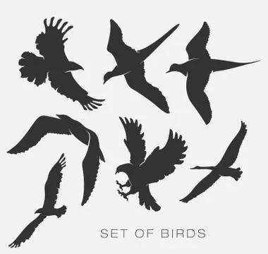 Set of silhouettes of birds Stock Illustration
