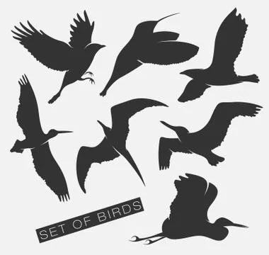Set of silhouettes of birds Stock Illustration