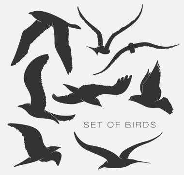 Set of silhouettes of birds Stock Illustration