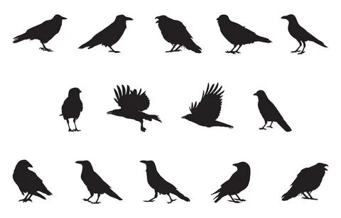 Set of silhouettes of crow birds vector illustration Stock Illustration