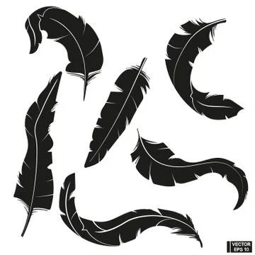 Set of silhouettes feathers. Stockillustratie