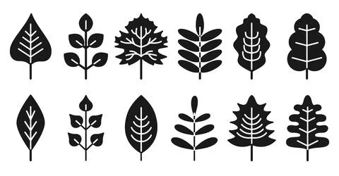 Set silhouettes leaf isolated on white background Stock Illustration