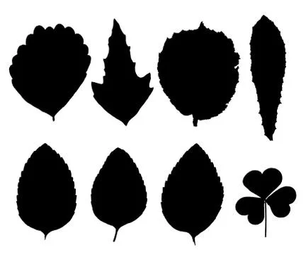Set of silhouettes leaves Stock Illustration